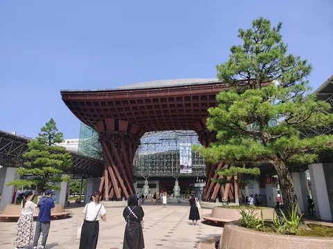 時を刻む、巨大な木の架け橋