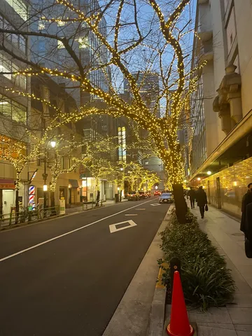 光に包まれる冬の街路