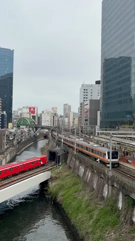 都会の鉄路と水辺の交差点