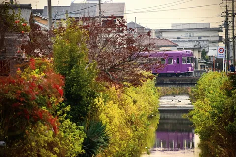 鮮やかな列車と水辺の秋