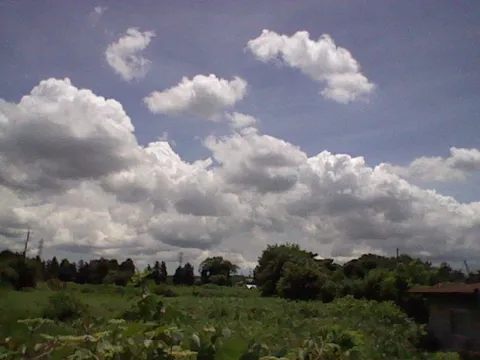 積乱雲と草いきれの夏空
