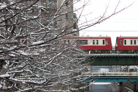 雪化粧の枝と赤い電車
