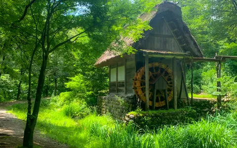 森の水車と茅葺の小屋