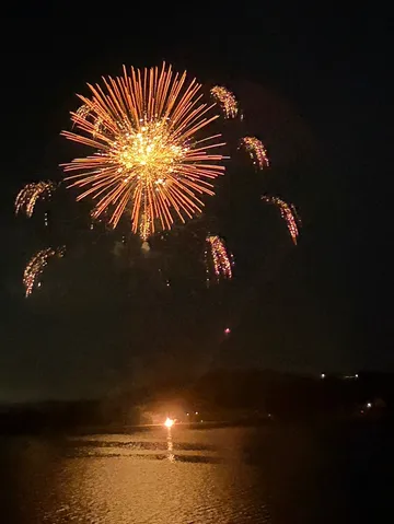 夜空に咲く、生命の輝き