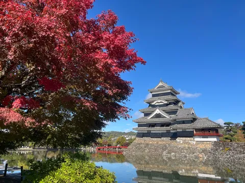 紅葉と黒い城のコントラスト