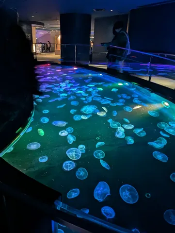 青光の水槽に浮かぶ夜景