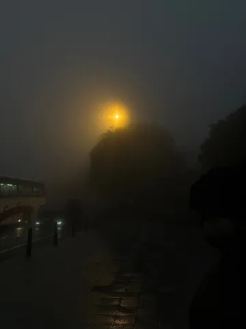 霧に光る街灯とバス