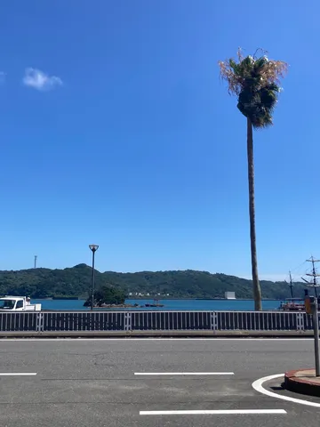青い空とヤシの木、海辺の風景