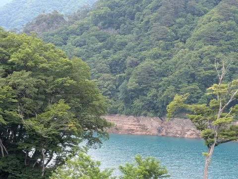 深緑と清流のコントラスト