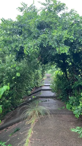 秘密基地の迷路