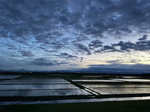 夕暮れ、水田に映る空