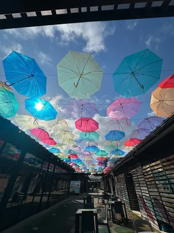 頭上の虹、色彩の路地