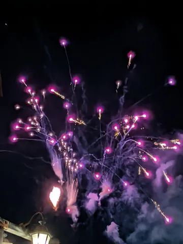 夜空に咲く、紫の華。