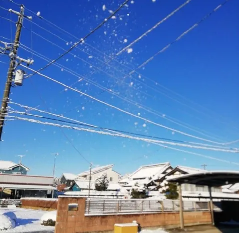 雪空のワイヤーアート