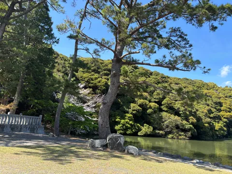 深緑と湖畔の静寂