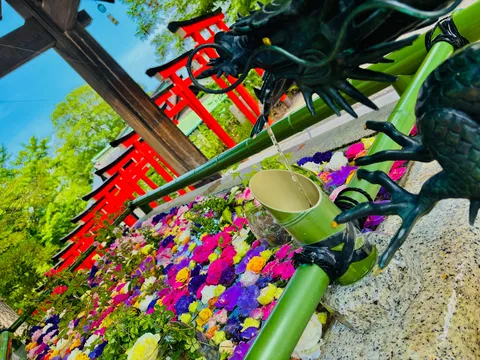 清流と鮮やかな花々の色彩