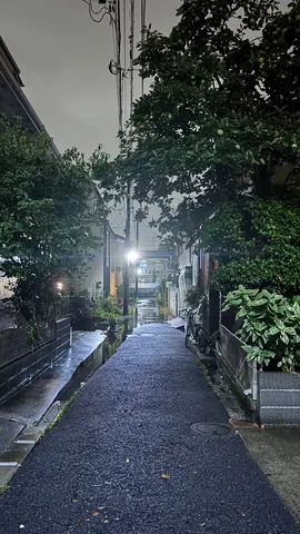 雨上がりの路地裏、灯りの静寂