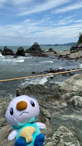 鳥居の岩と海の相棒