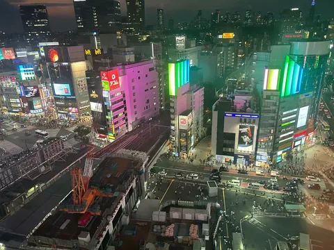 光が織りなす夜の帳