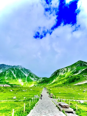 緑深き山道、天へと続く道