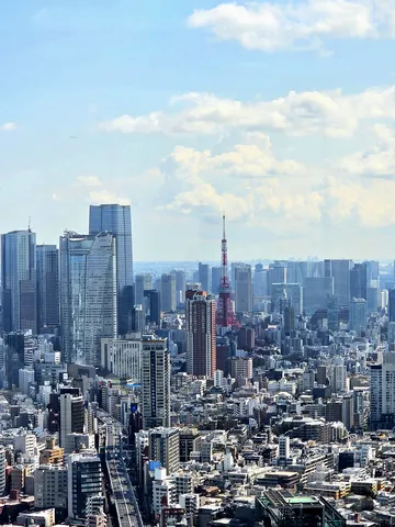 遠くまで広がる大都市の景色
