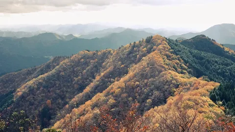 深まる秋、山のグラデーション