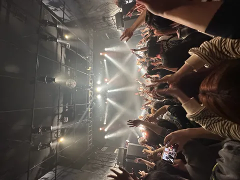 ライブ会場、手が乱舞！