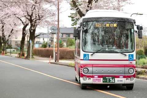 バスも花見気分？桜並木を行く
