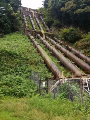 森の深く深く奥深く