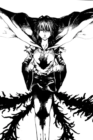 闇夜に舞う黒い翼