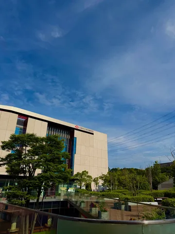 青空に映える大学の建物