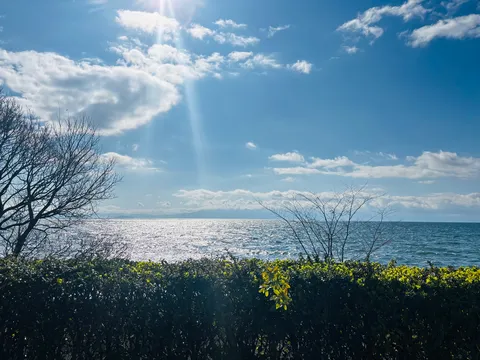 光の粒がきらめく水辺の風景