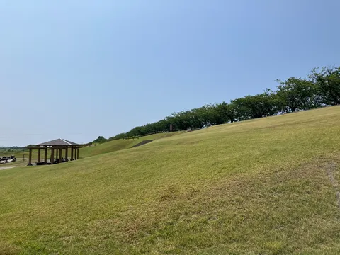 丘の上の静かな休憩所