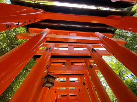 仰ぎ見る朱の回廊