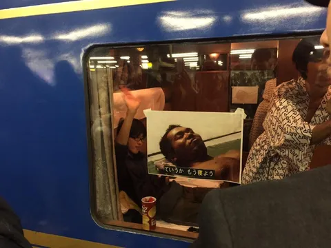 窓辺に映るユニークな日常