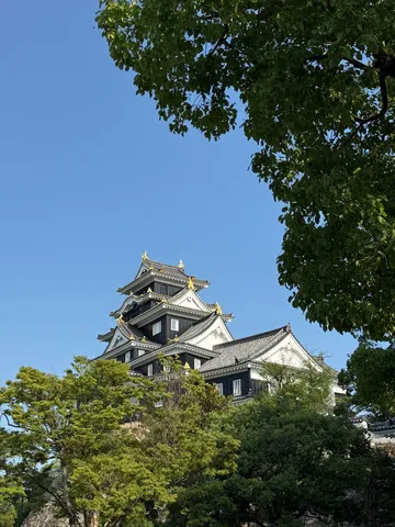 深緑と青空に映える古城