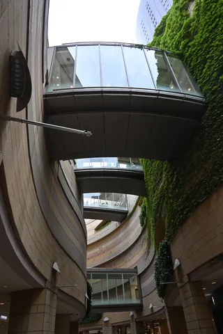 光を繋ぐ曲線の回廊