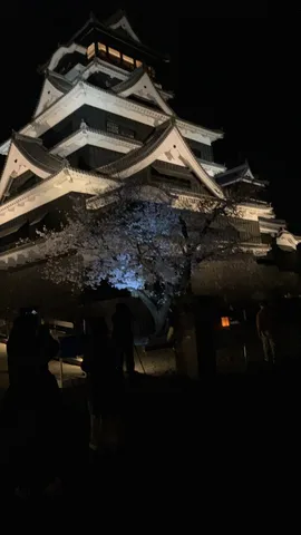 闇夜に浮かぶ古城と桜