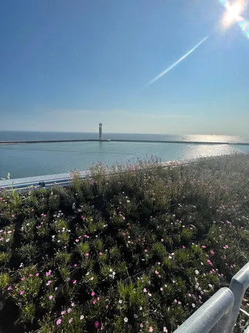 花と灯台、海辺の風景