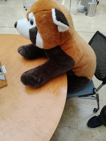 ひとやすみ中のレッサーパンダ
