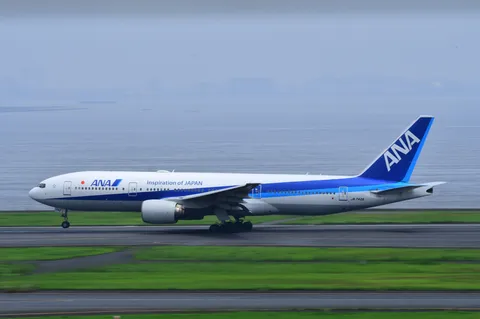 青空に舞うANAの翼