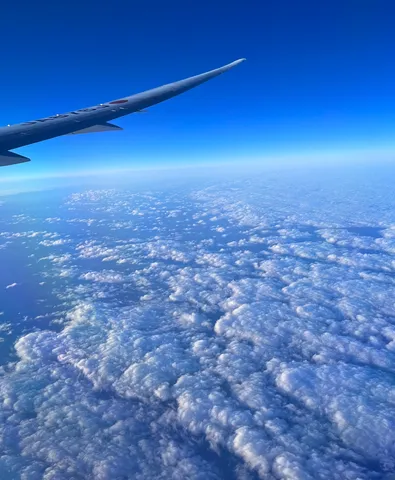 高空の青と翼の余韻