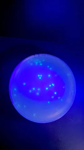 青い宇宙に点々が舞う