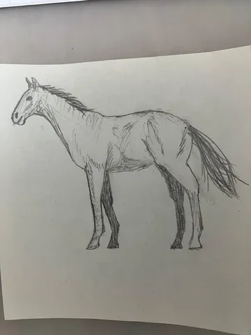 疾走する馬の鉛筆画