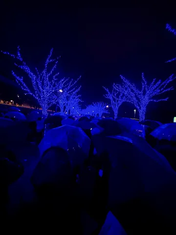 青い光に包まれた幻想的な夜