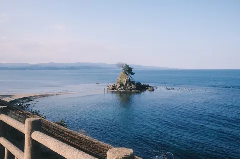 孤高の木と海辺の線路