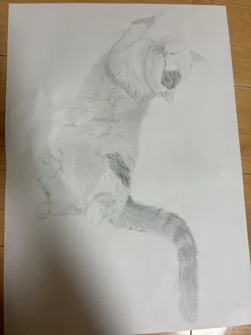 猫ちゃんの伸びやかな瞬間