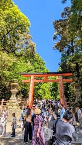 緑と青の参道の一瞬
