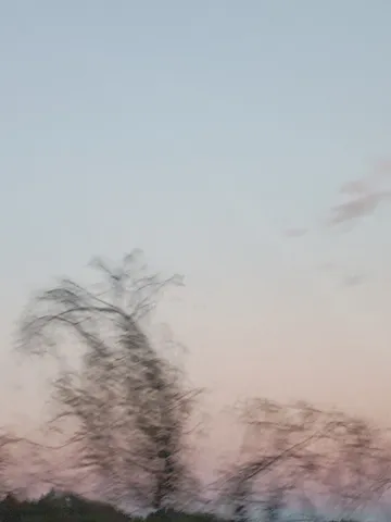 風景に溶ける静かな色