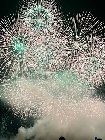 夜空を彩る光の芸術